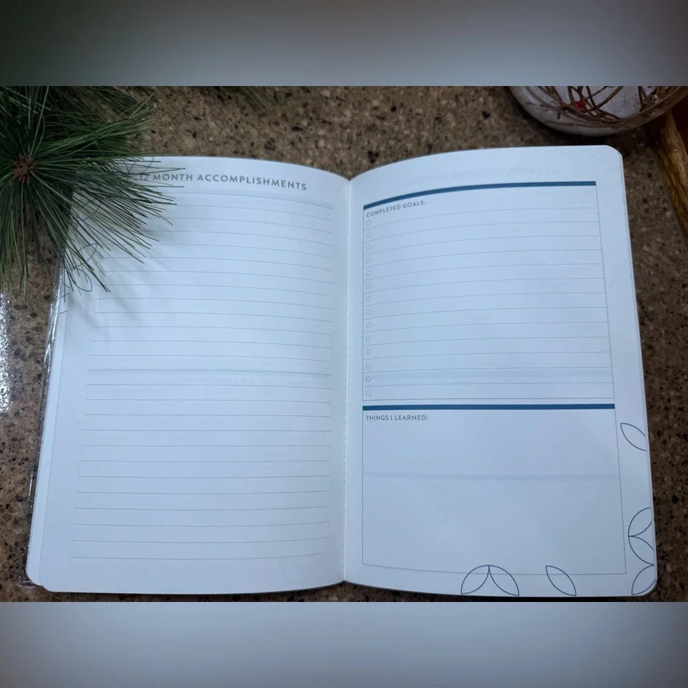 🌟🎁📘 Year In Preview PetitePlanner – The Perfect Goal-Getter Gift 📘🎁 🌟